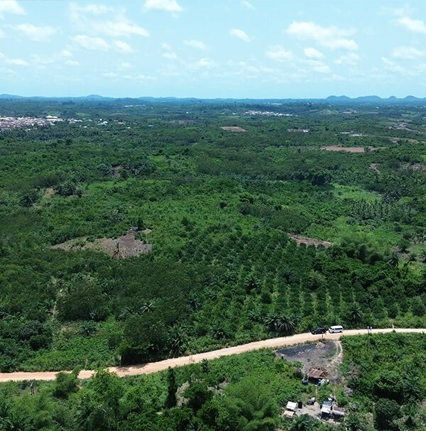Country Side Lands - Asebu 1