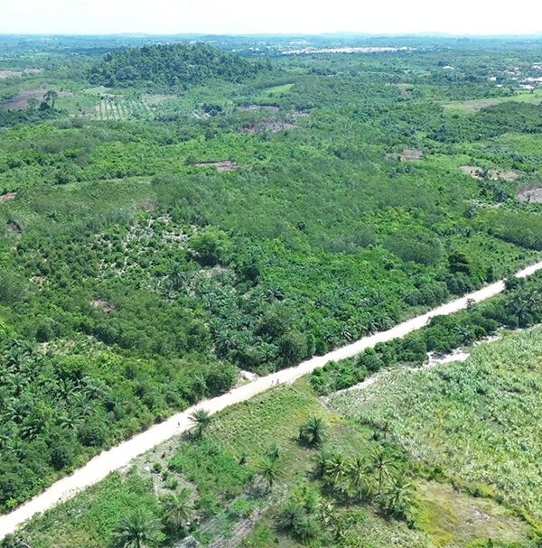 Country Side Lands - Asebu 5