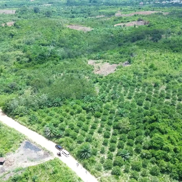 DJI_0529