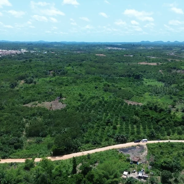 DJI_0531